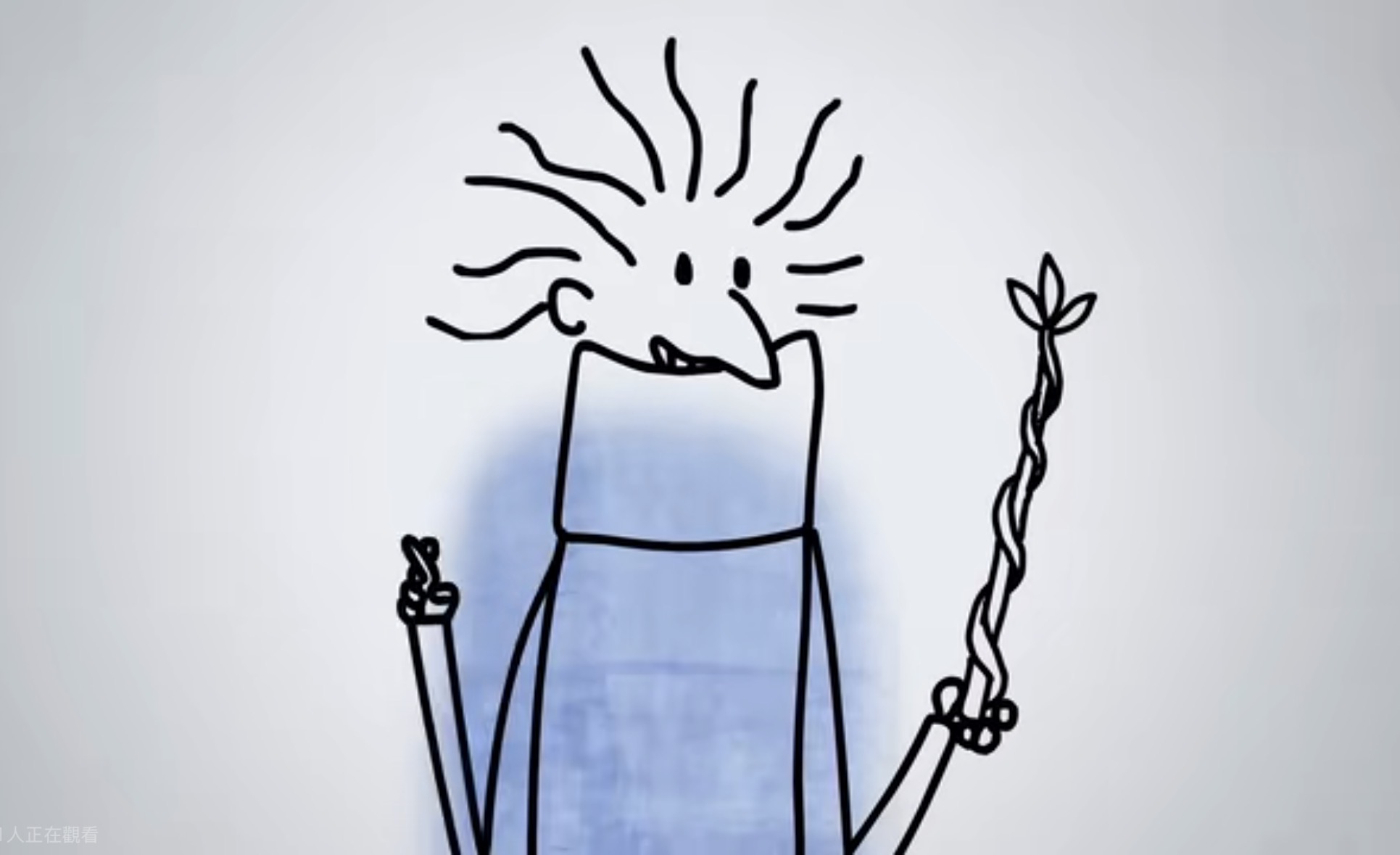 The three wand options
