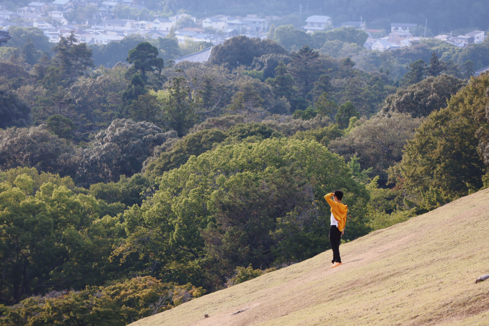 Alan standing on a hillside above a forest